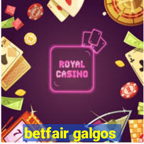 betfair galgos